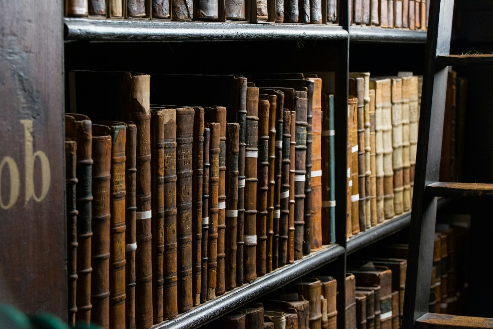 Legal reference books on library shelves